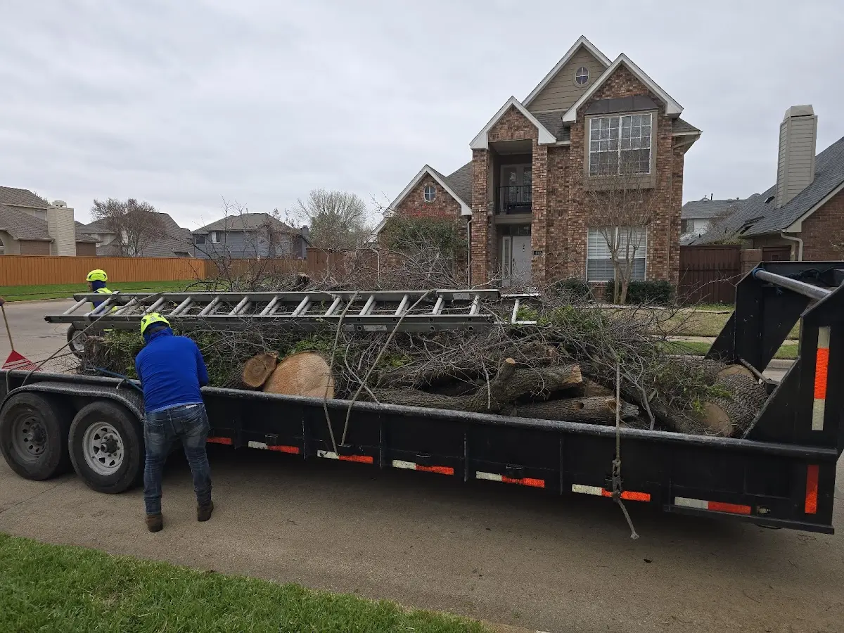 Expert Tree Fertilization with proper safety equipment in Warrensburg